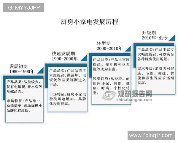 杭州羽毛球队的节奏探讨与发展趋势分析