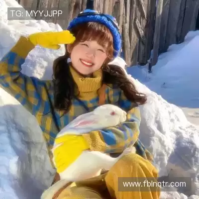明贞梦